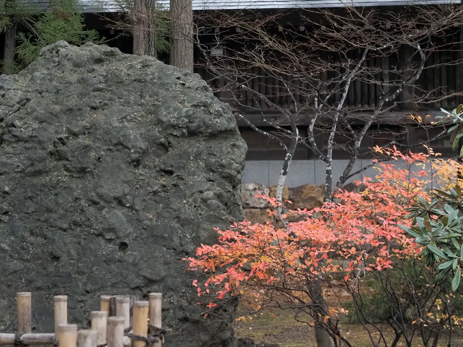 11月20日は北海道神宮で七五三の撮影でした